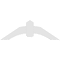 Ekena Millwork Archdale Architectural Grade PVC Gable Bracket, 48"W x 16"H x 2"D x 6"F, 8/12 Pitch GBP048X16X0206ARC00 - alternate 4